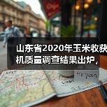 山东省2020年玉米收获机质量调查结果出炉，来看看得分高的是哪家企业？（图4）