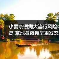 小麦条锈病大流行风险高 草地贪夜蛾呈重发态势 农业农村部及时指导各地开展应急防治和统防统治(图2) 小麦条锈病大流行风险高 草地贪夜蛾呈重发态势 农业农村部及时指导各地开展应急防治和统防统治(图2)
