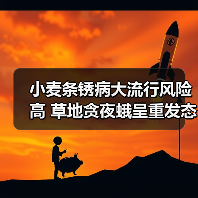 小麦条锈病大流行风险高 草地贪夜蛾呈重发态势 农业农村部及时指导各地开展应急防治和统防统治(图3) 小麦条锈病大流行风险高 草地贪夜蛾呈重发态势 农业农村部及时指导各地开展应急防治和统防统治(图3)
