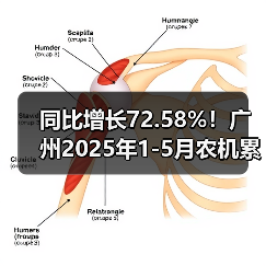 同比增长72.58%！广州2025年1-5月农机累计出口数量爆增（图4）