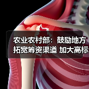 农业农村部:鼓励地方拓宽筹资渠道 加大高标准农田建设投入(图4) 农业农村部:鼓励地方拓宽筹资渠道 加大高标准农田建设投入(图4)