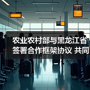 农业农村部与黑龙江省签署合作框架协议 共同打造国家粮食安全“压舱石” 加快推进农业现代化（图1）