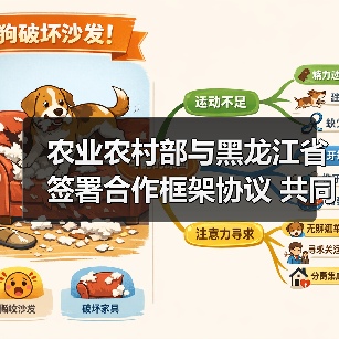 农业农村部与黑龙江省签署合作框架协议 共同打造国家粮食安全“压舱石” 加快推进农业现代化（图2）