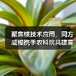聚焦核技术应用,同方威视携手农科院共建高能电子农业应用产业研究院(图2) 聚焦核技术应用,同方威视携手农科院共建高能电子农业应用产业研究院(图2)