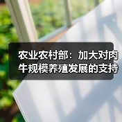 农业农村部：加大对肉牛规模养殖发展的支持（图2）