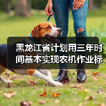 黑龙江省计划用三年时间基本实现农机作业标准化(图2) 黑龙江省计划用三年时间基本实现农机作业标准化(图2)