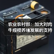 农业农村部：加大对肉牛规模养殖发展的支持（图4）