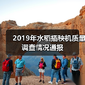 2019年水稻插秧机质量调查情况通报(图3) 2019年水稻插秧机质量调查情况通报(图3)