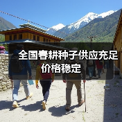 全国春耕种子供应充足价格稳定(图1) 全国春耕种子供应充足价格稳定(图1)