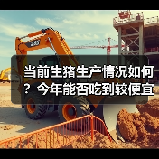 当前生猪生产情况如何?今年能否吃到较便宜的猪肉?(图3) 当前生猪生产情况如何?今年能否吃到较便宜的猪肉?(图3)
