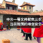 中央一号文件聚焦三农，当前我国的粮食安全形势如何？（图4）