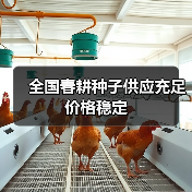 全国春耕种子供应充足价格稳定(图3) 全国春耕种子供应充足价格稳定(图3)