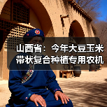 山西省:今年大豆玉米带状复合种植专用农机补贴怎么补?(图3) 山西省:今年大豆玉米带状复合种植专用农机补贴怎么补?(图3)
