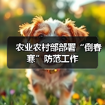 农业农村部部署“倒春寒”防范工作(图4) 农业农村部部署“倒春寒”防范工作(图4)