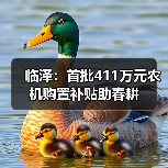 临泽:首批411万元农机购置补贴助春耕(图3) 临泽:首批411万元农机购置补贴助春耕(图3)