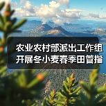 农业农村部派出工作组开展冬小麦春季田管指导（图1）