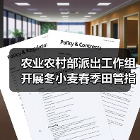农业农村部派出工作组开展冬小麦春季田管指导（图4）