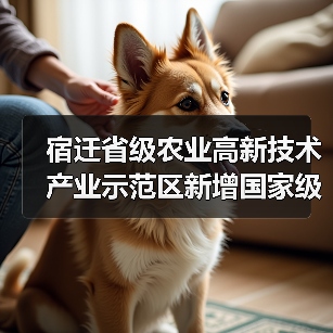 宿迁省级农业高新技术产业示范区新增国家级实践教育平台(图1) 宿迁省级农业高新技术产业示范区新增国家级实践教育平台(图1)