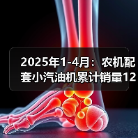 2025年1-4月：农机配套小汽油机累计销量129.17万台，同比增长19.61%（图1）