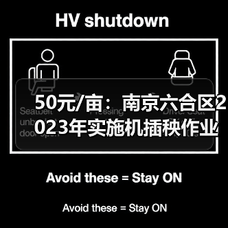 50元/亩:南京六合区2023年实施机插秧作业补贴政策(图2) 50元/亩:南京六合区2023年实施机插秧作业补贴政策(图2)