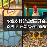 农业农村部党组召开会议强调 完整准确全面贯彻新发展理念 推动“十四五”时期农业农村高质量发展(图3) 农业农村部党组召开会议强调 完整准确全面贯彻新发展理念 推动“十四五”时期农业农村高质量发展(图3)