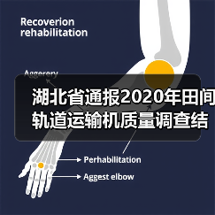 湖北省通报2020年田间轨道运输机质量调查结果(图4) 湖北省通报2020年田间轨道运输机质量调查结果(图4)