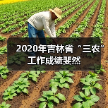 2020年吉林省“三农”工作成绩斐然(图3) 2020年吉林省“三农”工作成绩斐然(图3)