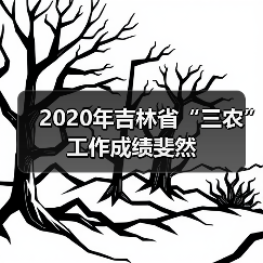 2020年吉林省“三农”工作成绩斐然(图4) 2020年吉林省“三农”工作成绩斐然(图4)