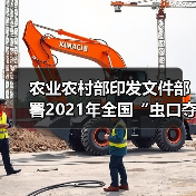 农业农村部印发文件部署2021年全国“虫口夺粮”保丰收行动(图1) 农业农村部印发文件部署2021年全国“虫口夺粮”保丰收行动(图1)