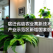 宿迁省级农业高新技术产业示范区新增国家级实践教育平台(图1) 宿迁省级农业高新技术产业示范区新增国家级实践教育平台(图1)