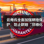 云南省全面加强耕地保护,防止耕地“非粮化”(图3) 云南省全面加强耕地保护,防止耕地“非粮化”(图3)