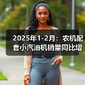 2025年1-2月:农机配套小汽油机销量同比增长27.88%(图3) 2025年1-2月:农机配套小汽油机销量同比增长27.88%(图3)