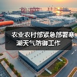 农业农村部紧急部署寒潮天气防御工作(图3) 农业农村部紧急部署寒潮天气防御工作(图3)
