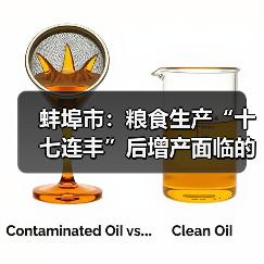 蚌埠市:粮食生产“十七连丰”后增产面临的困难问题及有关建议(图1) 蚌埠市:粮食生产“十七连丰”后增产面临的困难问题及有关建议(图1)