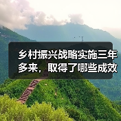 乡村振兴战略实施三年多来,取得了哪些成效?今后的重点工作有哪些?(图2) 乡村振兴战略实施三年多来,取得了哪些成效?今后的重点工作有哪些?(图2)