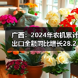 广西:2024年农机累计出口金额同比增长28.2%(图4) 广西:2024年农机累计出口金额同比增长28.2%(图4)