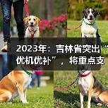 2023年:吉林省突出“优机优补”,将重点支持这些农机具(图4) 2023年:吉林省突出“优机优补”,将重点支持这些农机具(图4)