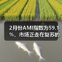 2月份AMI指数为59.1%,市场正走在复苏的路上(图3) 2月份AMI指数为59.1%,市场正走在复苏的路上(图3)