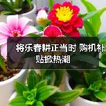 将乐春耕正当时 购机补贴掀热潮(图4) 将乐春耕正当时 购机补贴掀热潮(图4)