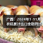 广西:2024年1-11月农机累计出口金额同比增长21.6%(图4) 广西:2024年1-11月农机累计出口金额同比增长21.6%(图4)