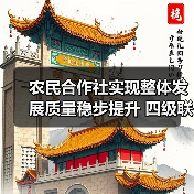 农民合作社实现整体发展质量稳步提升 四级联创示范社达15.7万家(图1) 农民合作社实现整体发展质量稳步提升 四级联创示范社达15.7万家(图1)