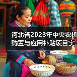 河北省2023年中央农机购置与应用补贴项目实施方案(图3) 河北省2023年中央农机购置与应用补贴项目实施方案(图3)