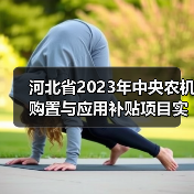 河北省2023年中央农机购置与应用补贴项目实施方案(图4) 河北省2023年中央农机购置与应用补贴项目实施方案(图4)