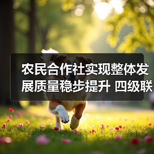 农民合作社实现整体发展质量稳步提升 四级联创示范社达15.7万家(图4) 农民合作社实现整体发展质量稳步提升 四级联创示范社达15.7万家(图4)