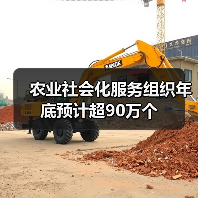 农业社会化服务组织年底预计超90万个(图3) 农业社会化服务组织年底预计超90万个(图3)