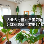 农业农村部:贫困县累计建成高标准农田2.1亿亩、农产品初加工设施4.3万座,发展农民合作社71.9万家(图1) 农业农村部:贫困县累计建成高标准农田2.1亿亩、农产品初加工设施4.3万座,发展农民合作社71.9万家(图1)