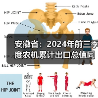 安徽省：2024年前三季度农机累计出口总值同比下降11.21%（图2）