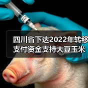 四川省下达2022年转移支付资金支持大豆玉米带状复合种植安排情况的公告(图2) 四川省下达2022年转移支付资金支持大豆玉米带状复合种植安排情况的公告(图2)