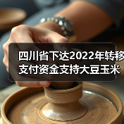 四川省下达2022年转移支付资金支持大豆玉米带状复合种植安排情况的公告(图3) 四川省下达2022年转移支付资金支持大豆玉米带状复合种植安排情况的公告(图3)