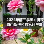 2024年前三季度：河南省中型拖拉机累计产量近5万台（图2）